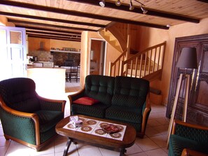 Televisión, chimenea, reproductor de DVD y libros