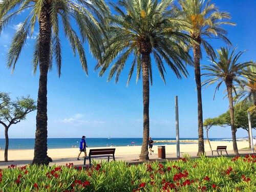 Ground floor with large terrace Beach at 350m Center and Port at 15mn by foot