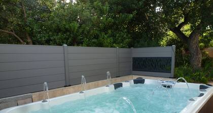 Villa SAPHIR de Ppied :4 master suites + 9-seater jacuzzi. Pets welcome.