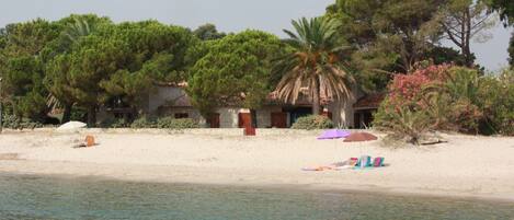 بالقرب من الشاطئ