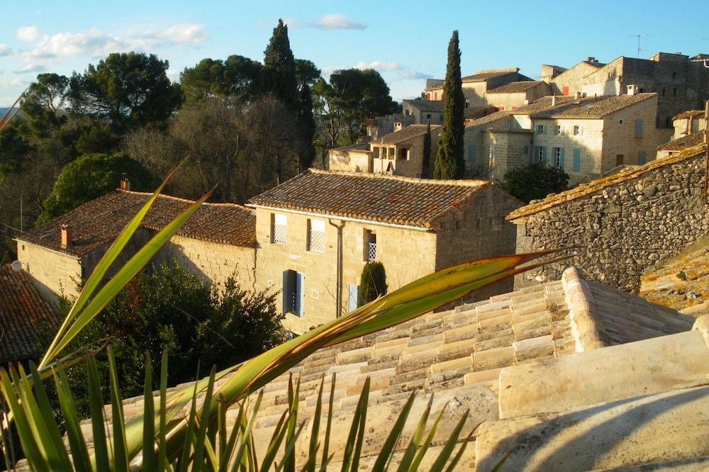 Beautiful apartment with terrace near Uzes
