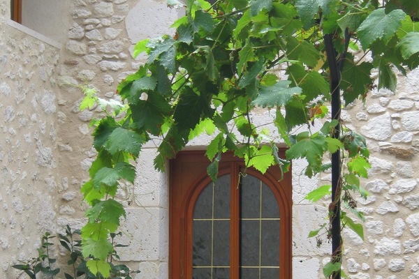 Details aan de buitenkant