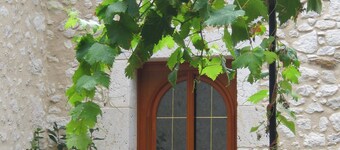 Gite rural de Guillemat. In the heart of the Bordeaux vineyards and on the banks of the Dordogne river