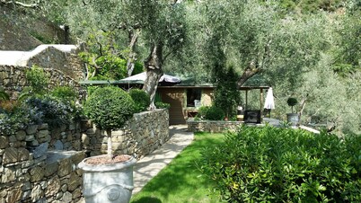 Comfortable wooden tiny house with private pool in an olive grove.