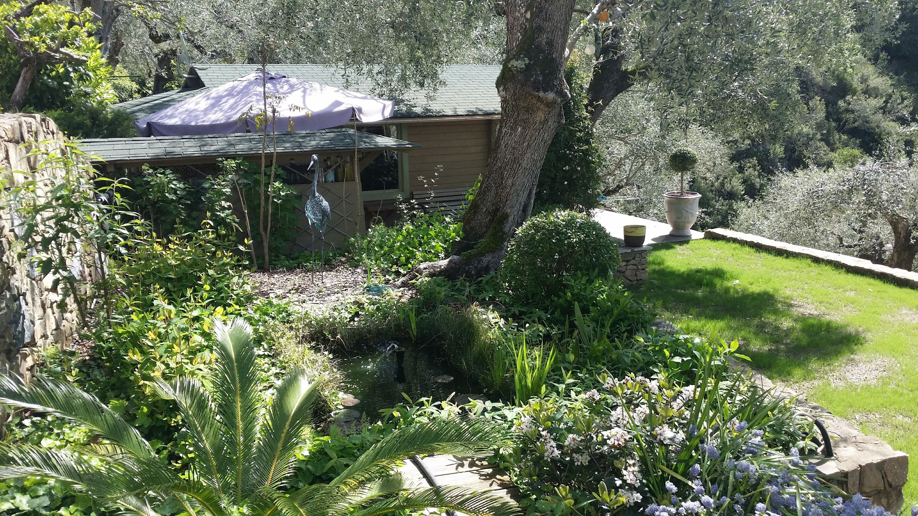 Parco della struttura