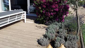 Detalle del exterior