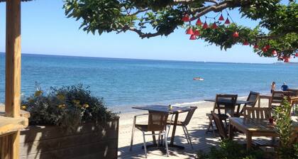 Planta Baja VILLA CERVIONE