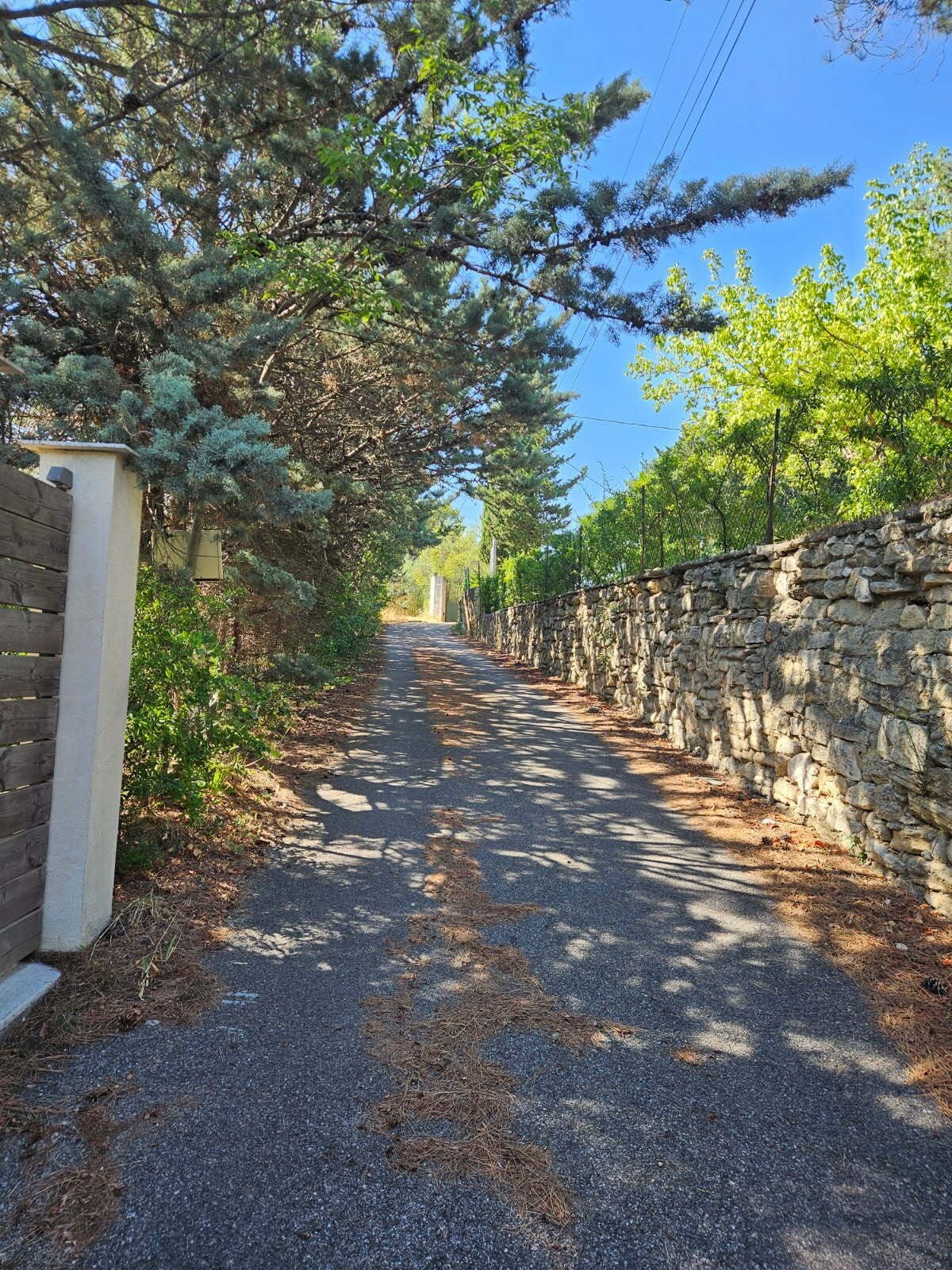Une route étroite, bordée d’arbres, avec un mur de pierres d’un côté et une clôture en bois de l’autre.