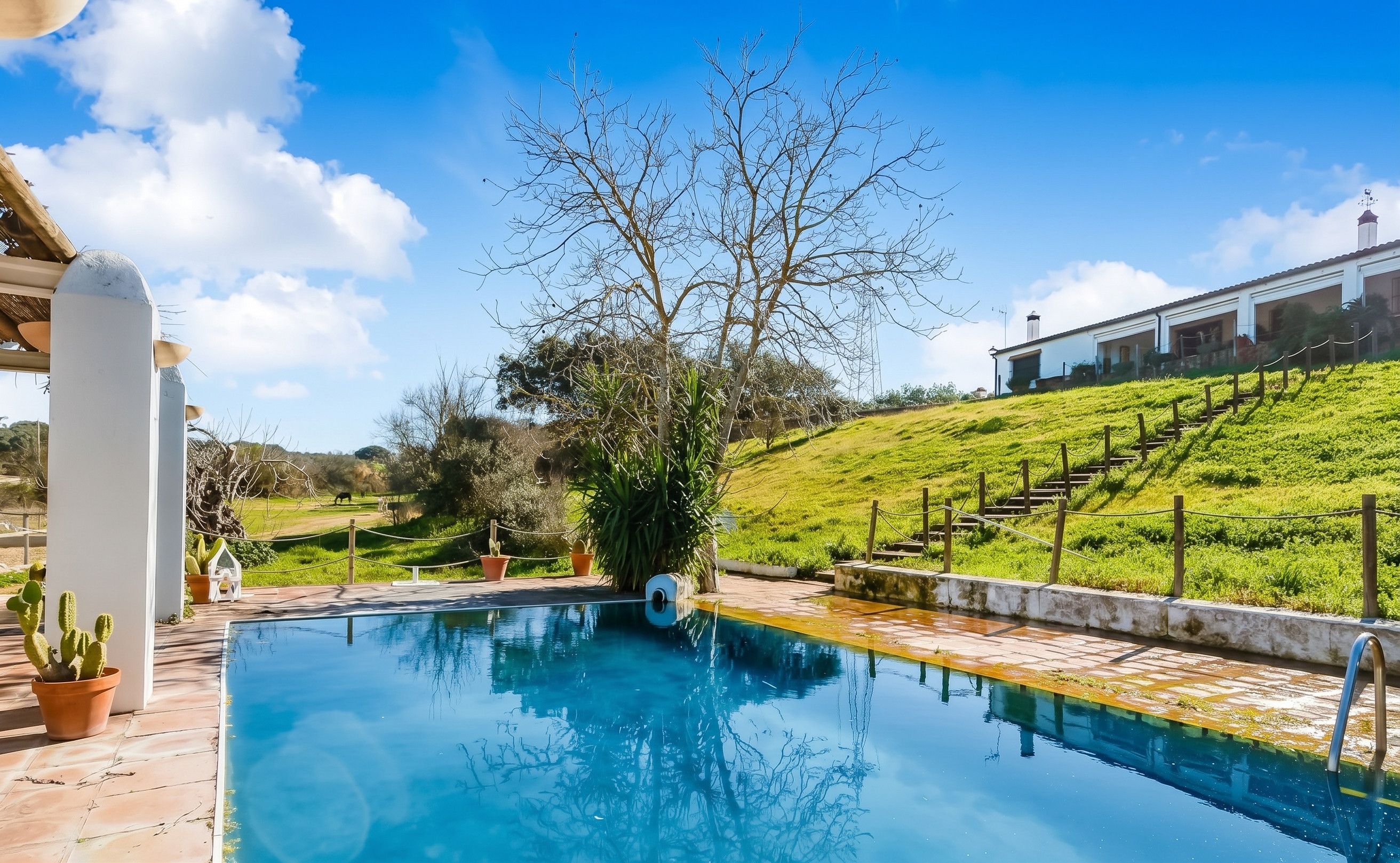 Swimming pool view