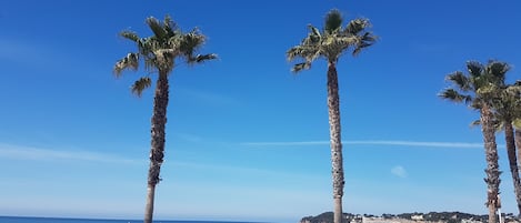 بالقرب من الشاطئ