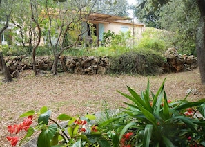 Exterior detail - House with private pool in Provence in large wooded area *** (Flassans-Sur-Issole)