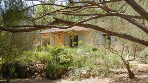 Ein rustikales Haus, umgeben von dichter Vegetation und einer Steinmauer.