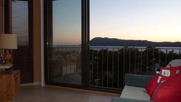 Télévision, lecteur de DVD, table de tennis de table, livres