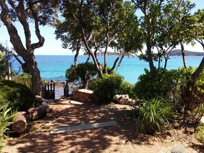 Property grounds - WATERFRONT & LUNA MARE "PARADISE" CLOSE TO THE MARINE PINARELLU (Sainte-Lucie-de-Porto-Vecchio)