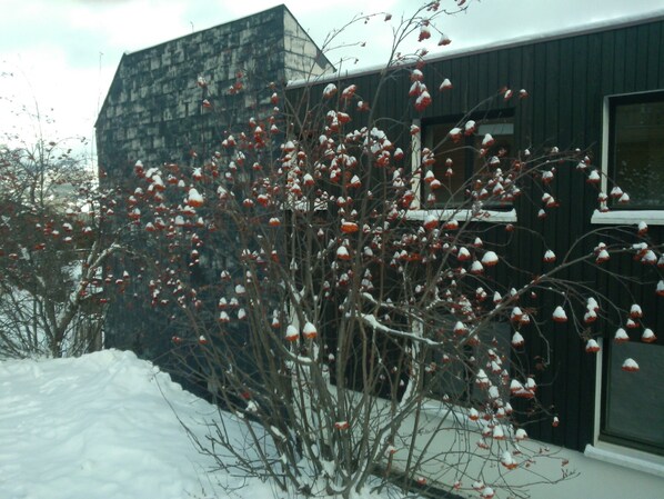 Property grounds - Holidays close to the slopes. Pra-Loup 1600 (Uvernet-Fours)