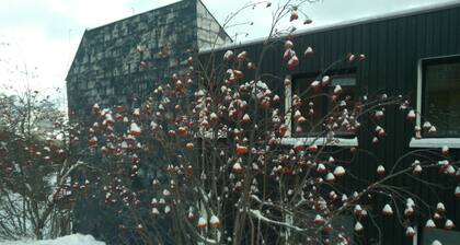 Ferien in der Nähe der Pisten. Pra-Loup 1600