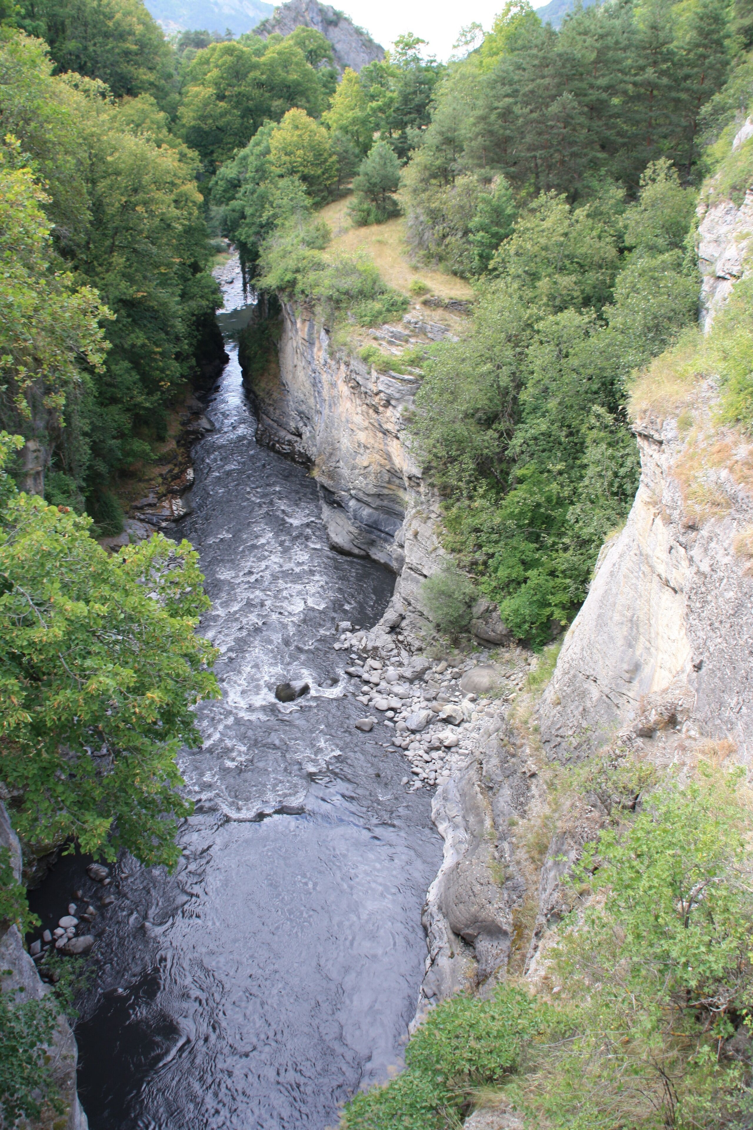 A river flowing through a canyon with rocky cliffs and dense greenery.