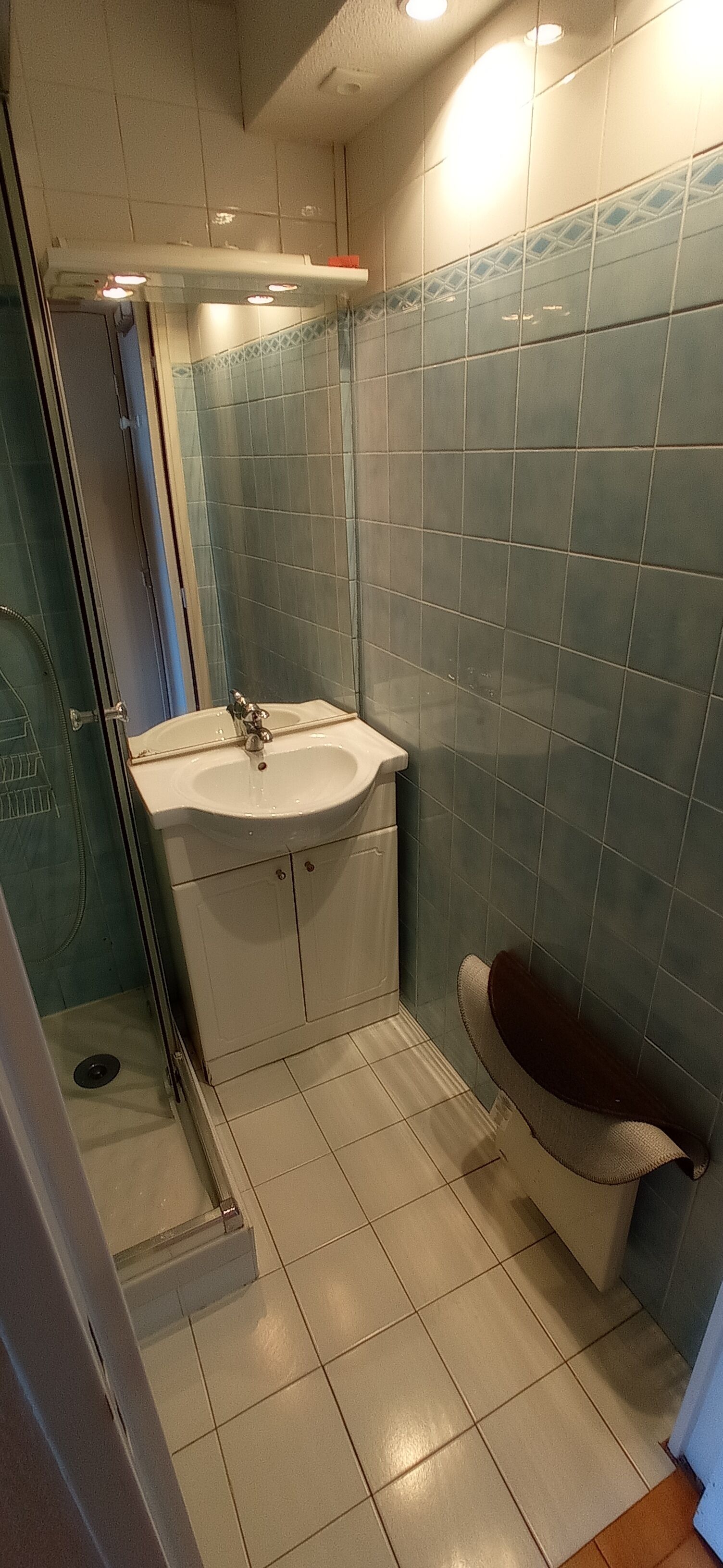 A bathroom with a white sink, a mirror, and a shower area.