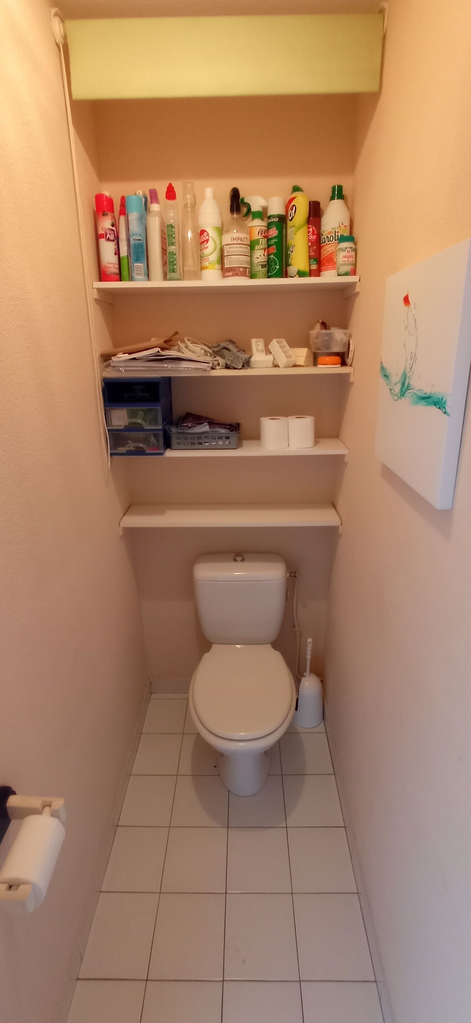 A small bathroom with a toilet, shelves above containing toiletries, and a painting on the wall.