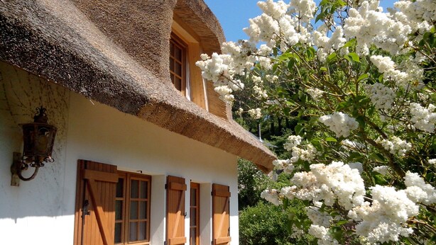 A traditional house with a thatched roof, wooden shutters, and a white exterior.