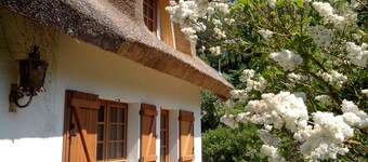 La Flore de Lys, Lovely cottage 330 m from the sea and 6 km from Étretat!