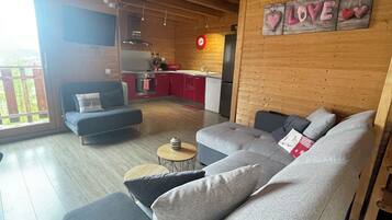 Télévision, lecteur de DVD, livres