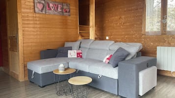 Télévision, lecteur de DVD, livres