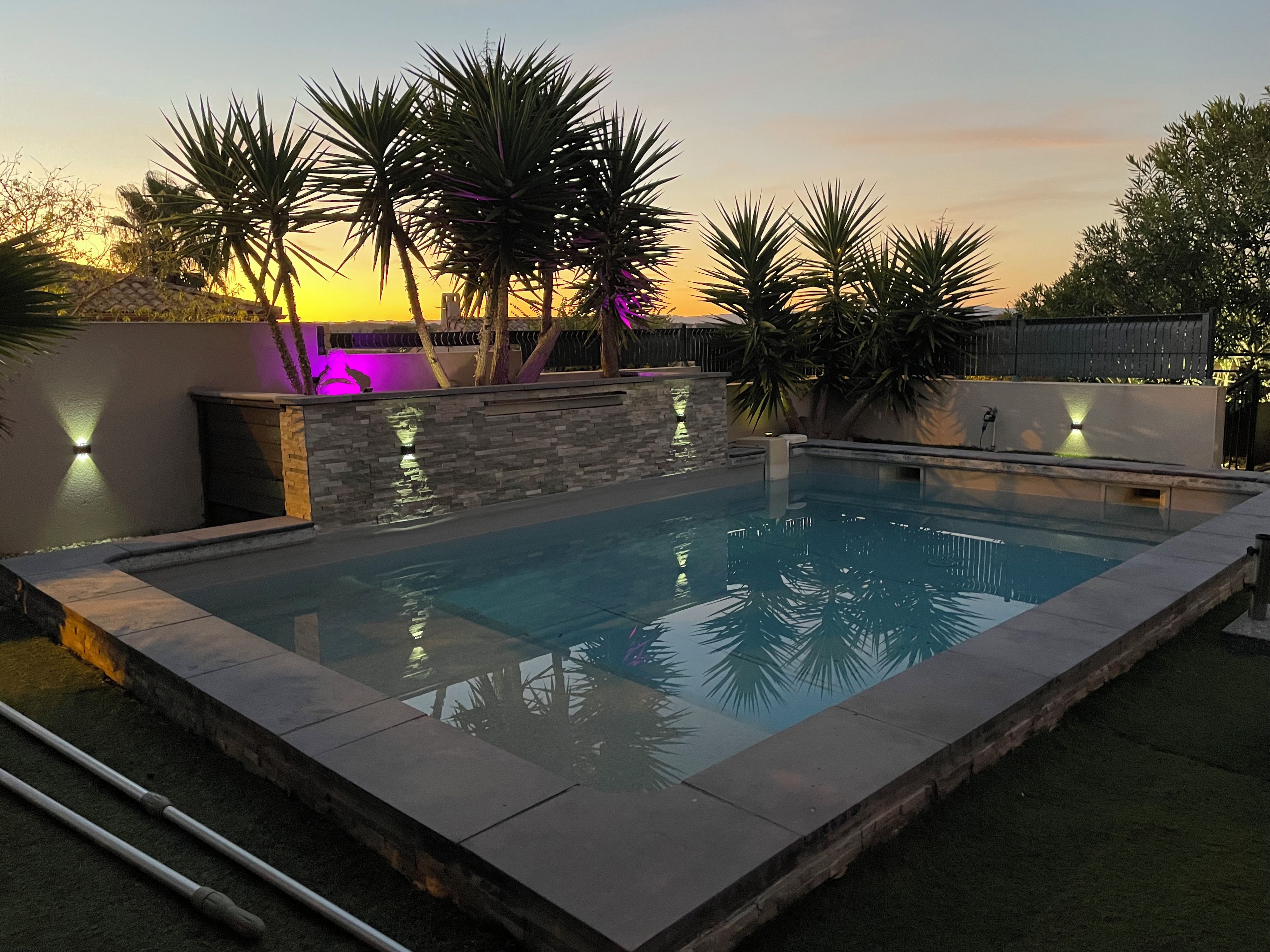 A rectangular swimming pool with a stone border, surrounded by palm trees and a low wall with built-in lighting.
