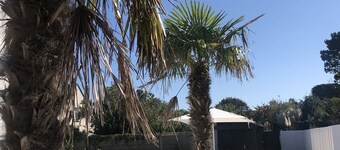 VILLA ALBA Quiberon - Ropa de cama incluida y camas preparadas - Piscina exterior climatizada