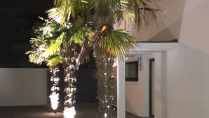 Zwei Palmen mit Lichterketten in einem Innenhof.