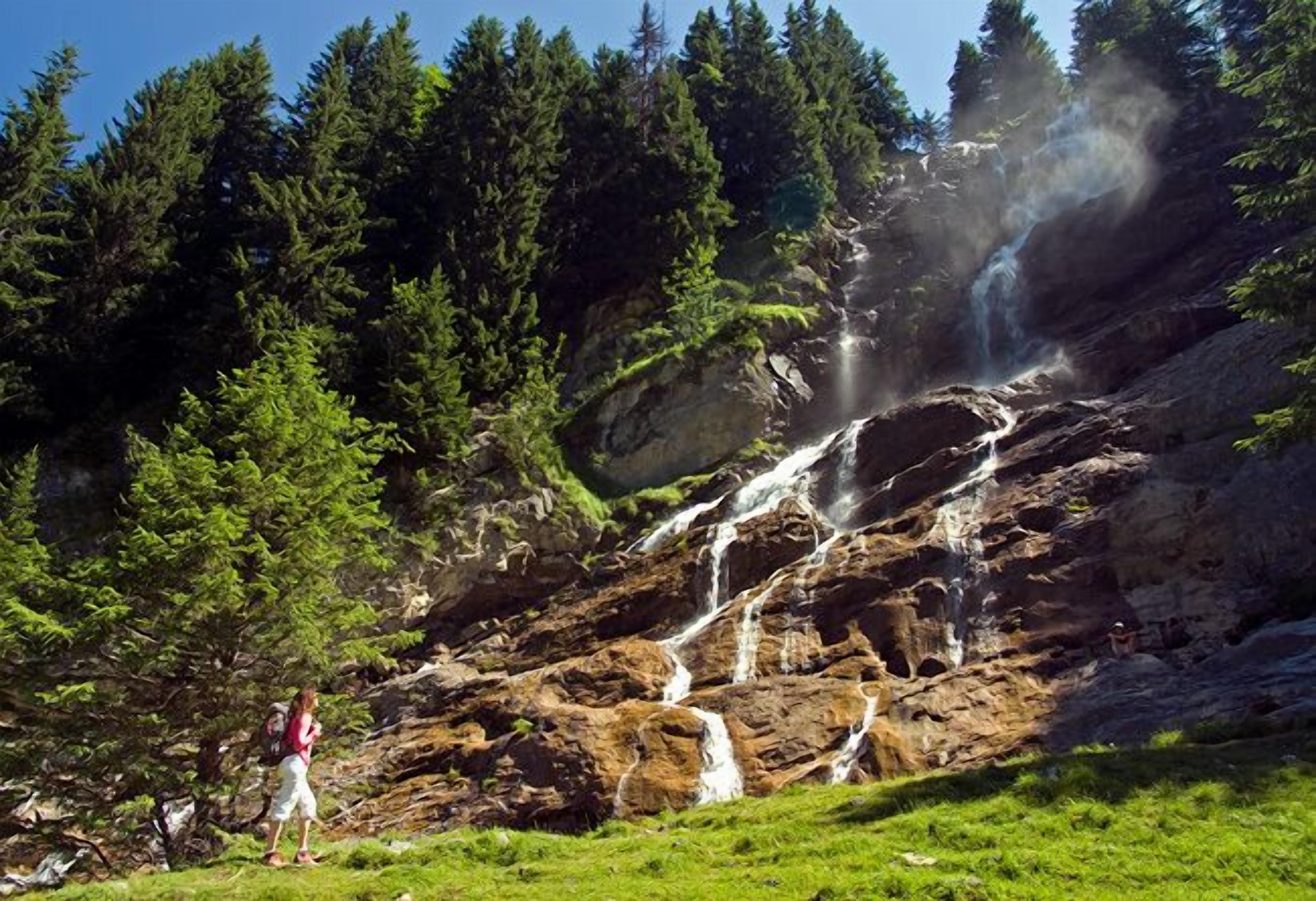 Une cascade d’eau qui dévale des rochers, avec une forêt en arrière-plan.