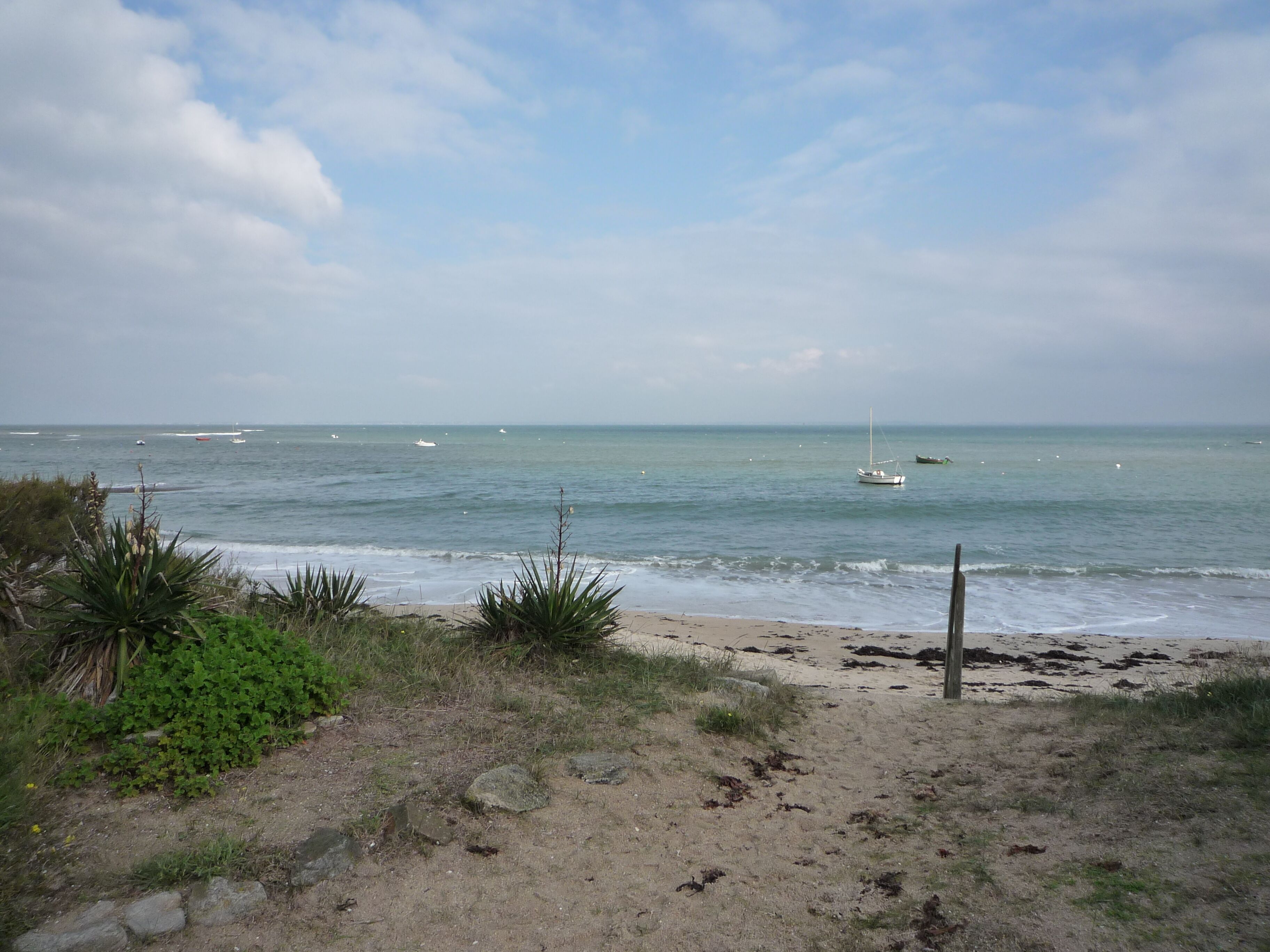 Une plage avec un rivage sablonneux, une végétation clairsemée et une mer calme où l’on peut apercevoir des bateaux.