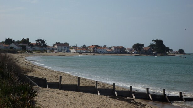 Ein Küstenstrand mit Häusern im Hintergrund.
