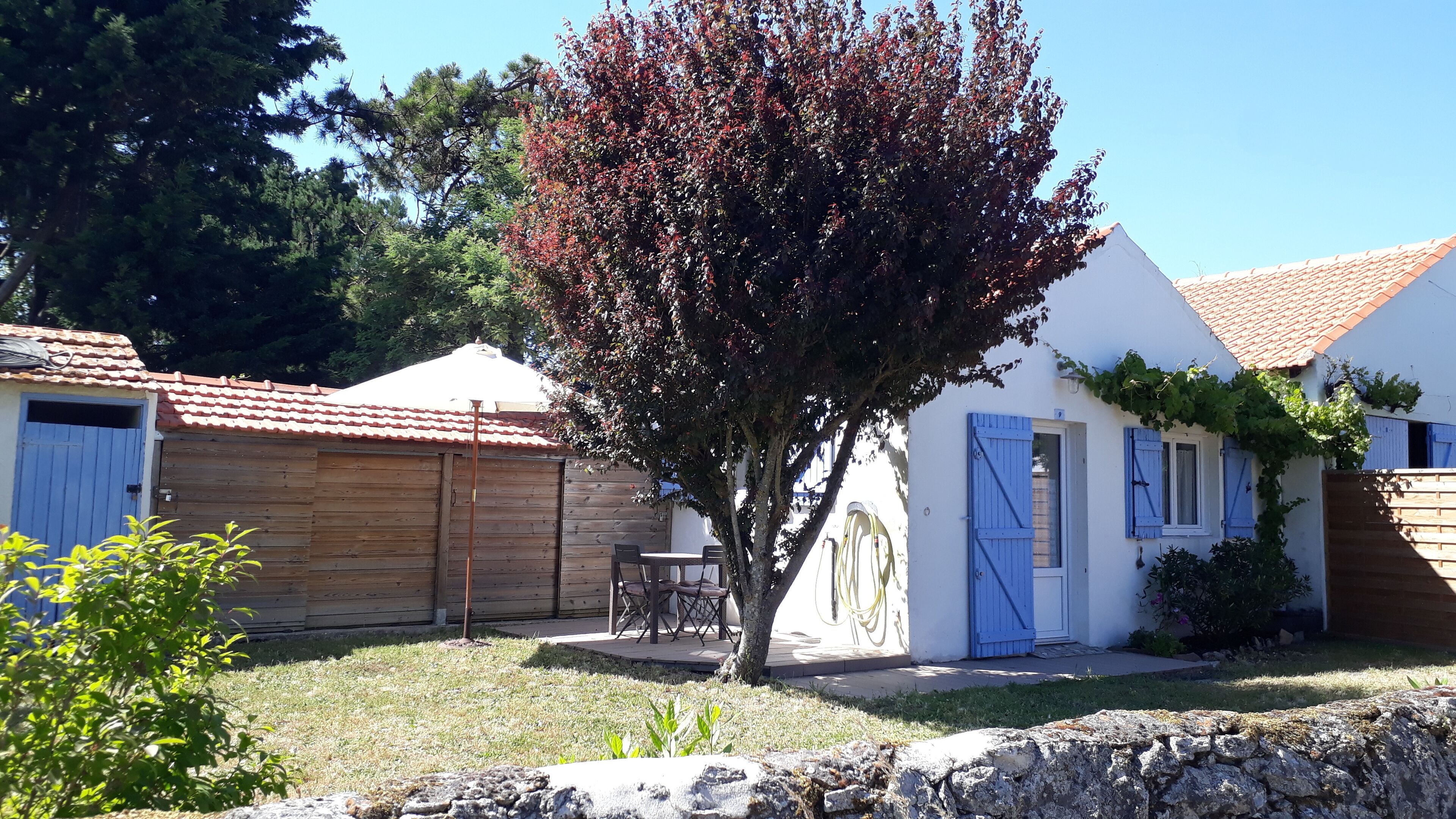 Ein Wohnhaus mit weißer Fassade, rotem Ziegeldach und blauen Fensterläden. Vor dem Haus befindet sich eine kleine Terrasse mit Tisch und Stühlen, und im Zentrum steht ein Baum mit roten Blättern.