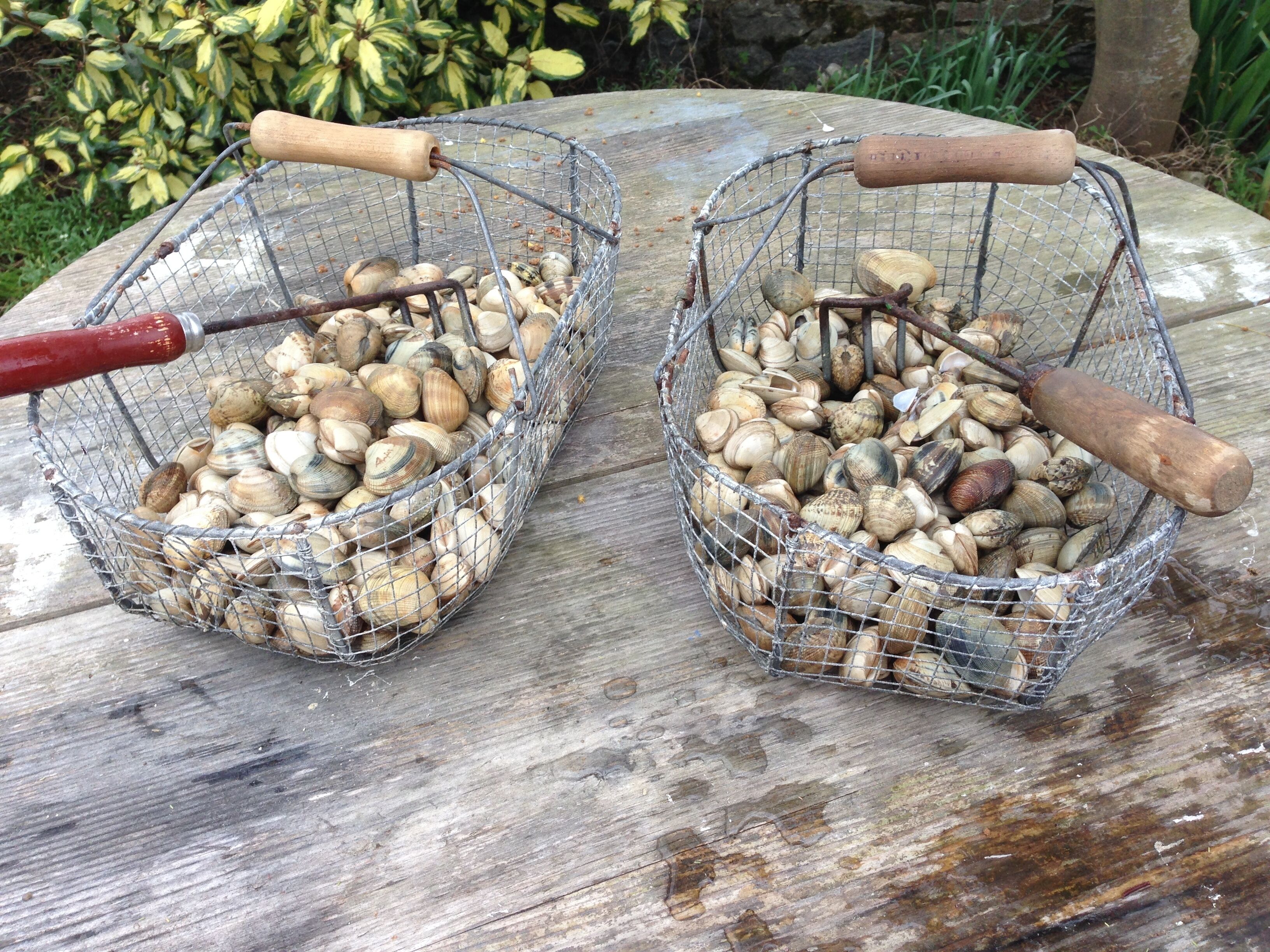 Two wire baskets filled with clams on a wooden surface.