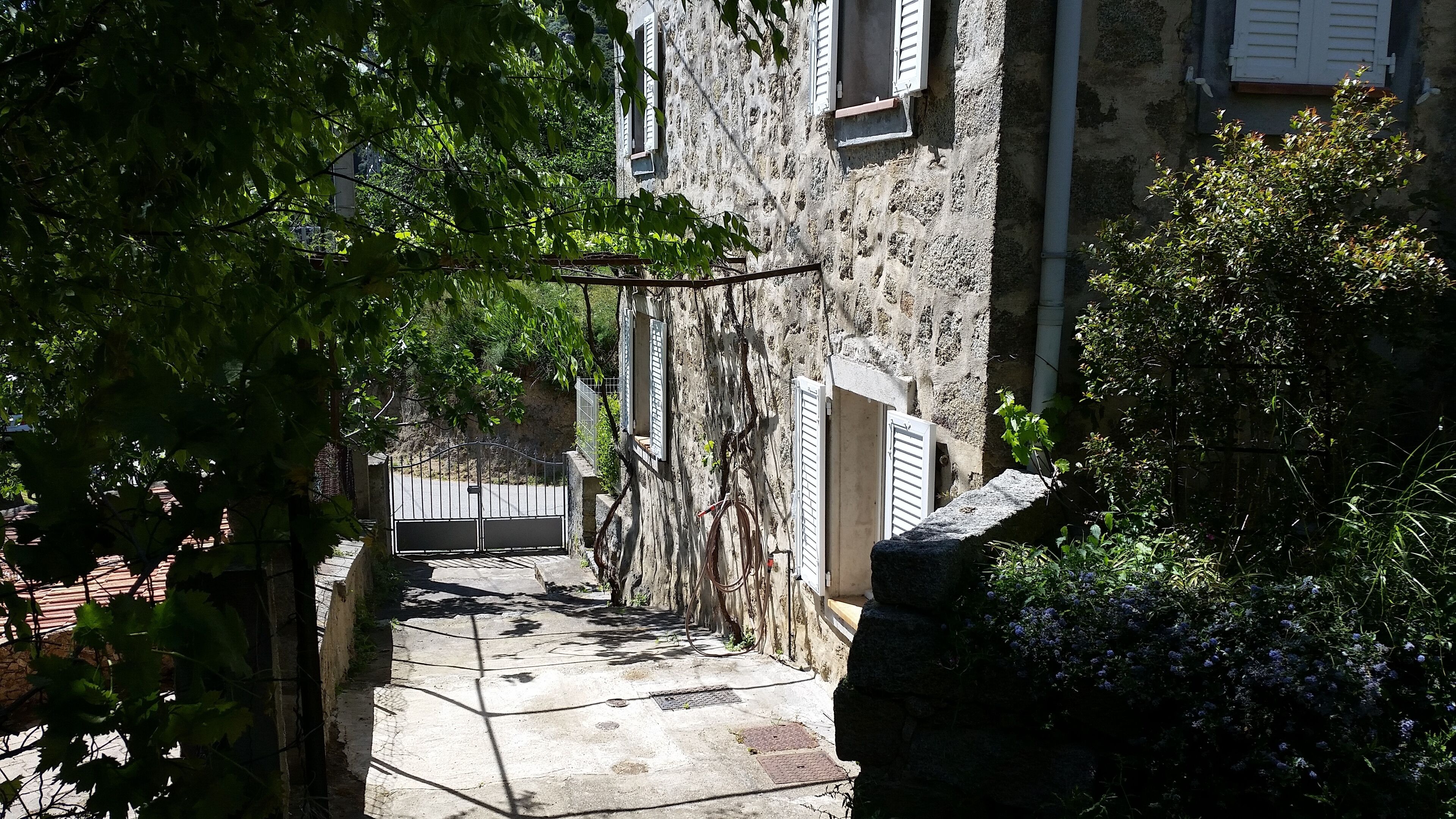 le chemin latéral