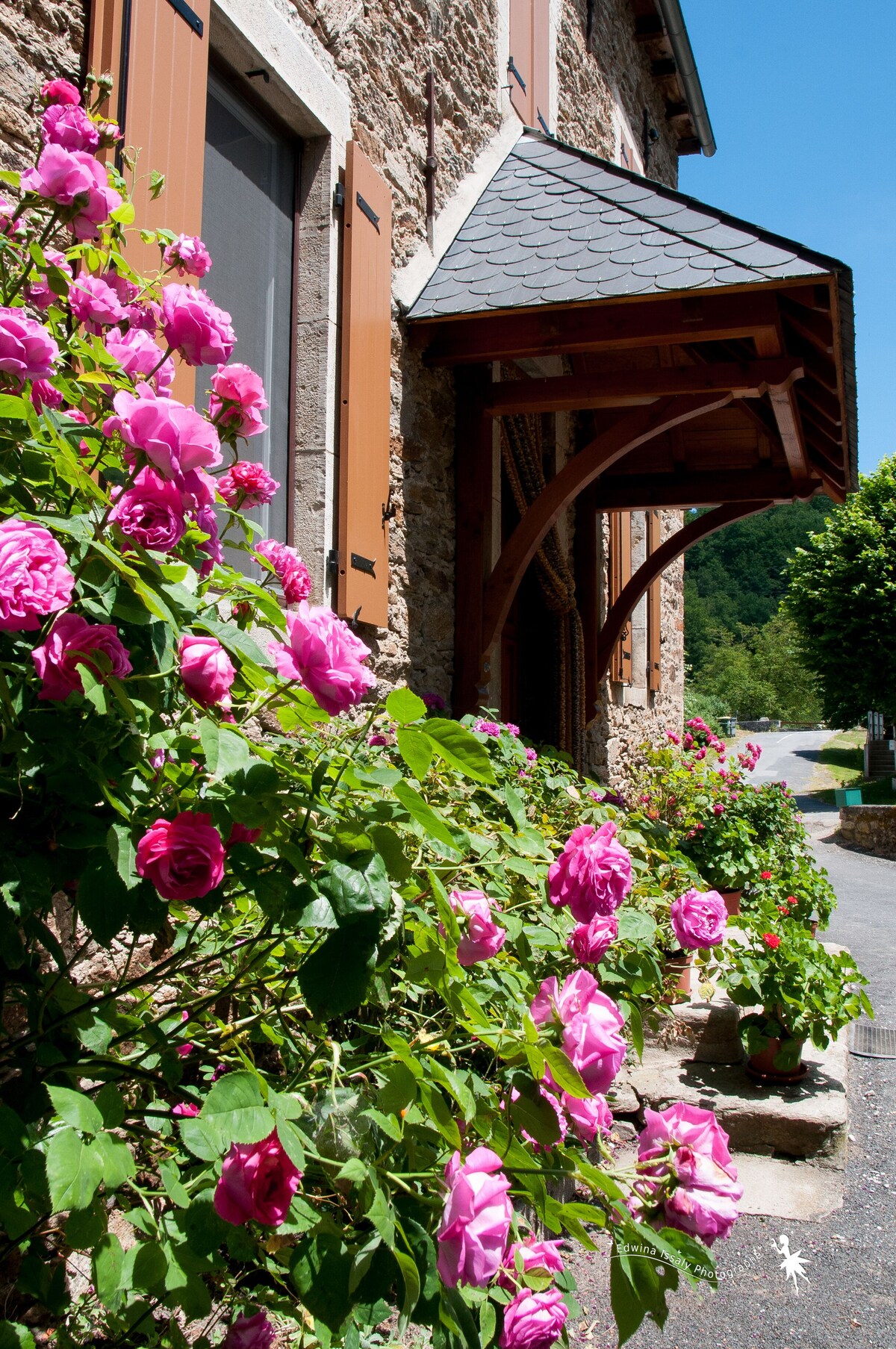 Image de profil de l’hôte
