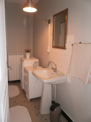 Shower, hair dryer