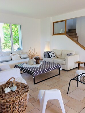 TV connectée, cheminée, lecteur de DVD, livres