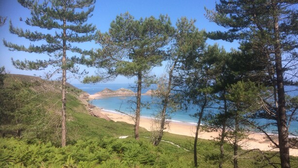 A coastal landscape with pine trees, a sandy beach, and a clear blue sky. - Sunny family home, 900m. from beach, equipped garden with a shower, WIFI HD, TV (Plurien)