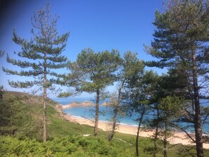 A coastal landscape with pine trees, a sandy beach, and a clear blue sky. - Sunny family home, 900m. from beach, equipped garden with a shower, WIFI HD, TV (Plurien)
