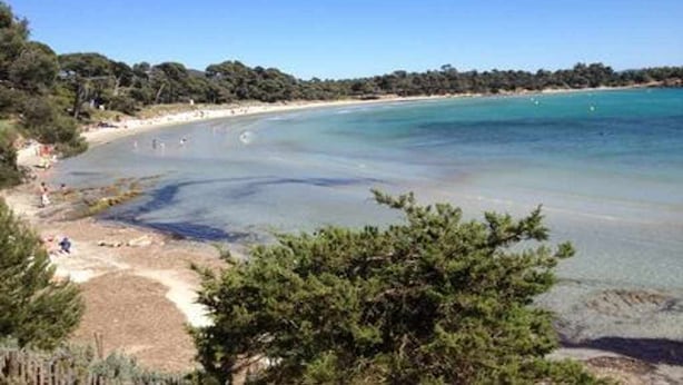 A beach with clear water, a sandy shore, and dense greenery. - Classified 2** T2 + cabin apartment facing the sea - Miramar beach - private parking (La Londe-Les-Maures)