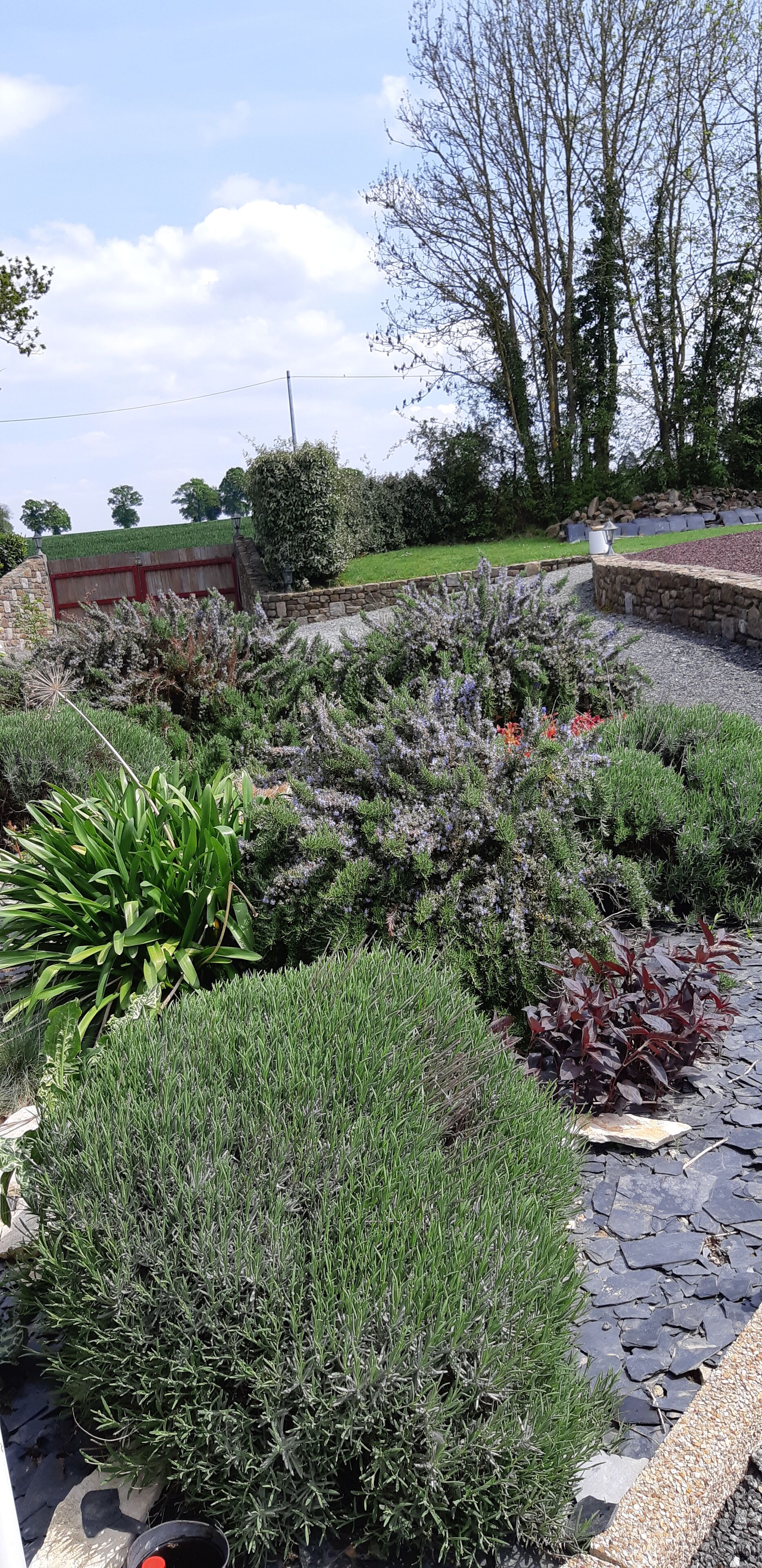 Bed and breakfast at the inhabitant