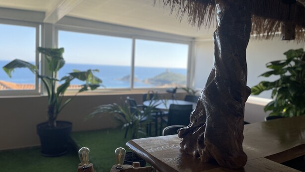 Una mesa de madera con un centro decorativo de cabeza de caballo tallada, amplias ventanas con vista al océano y plantas en macetas.