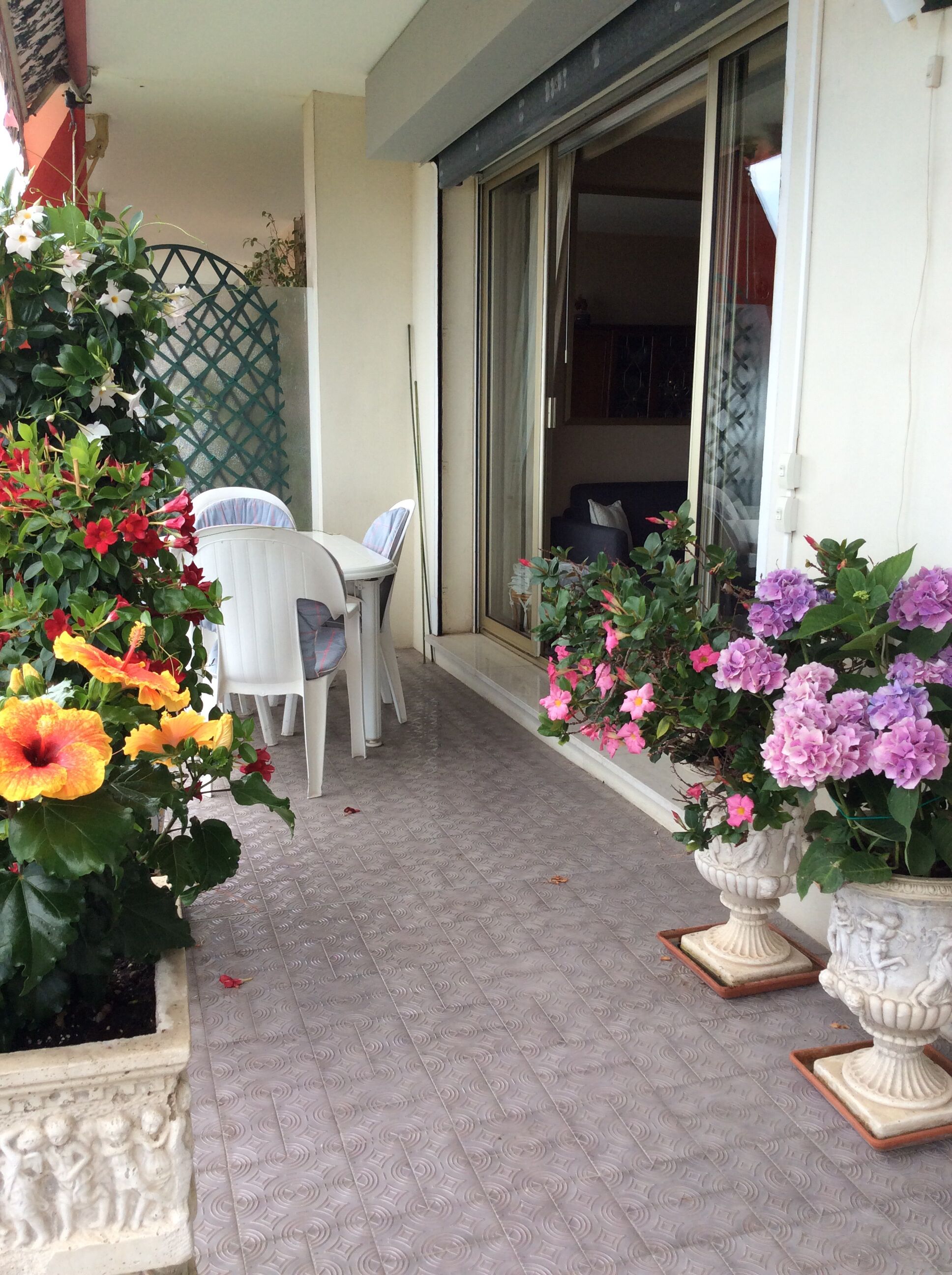 A balcony with a table and chairs, surrounded by potted plants with flowers.