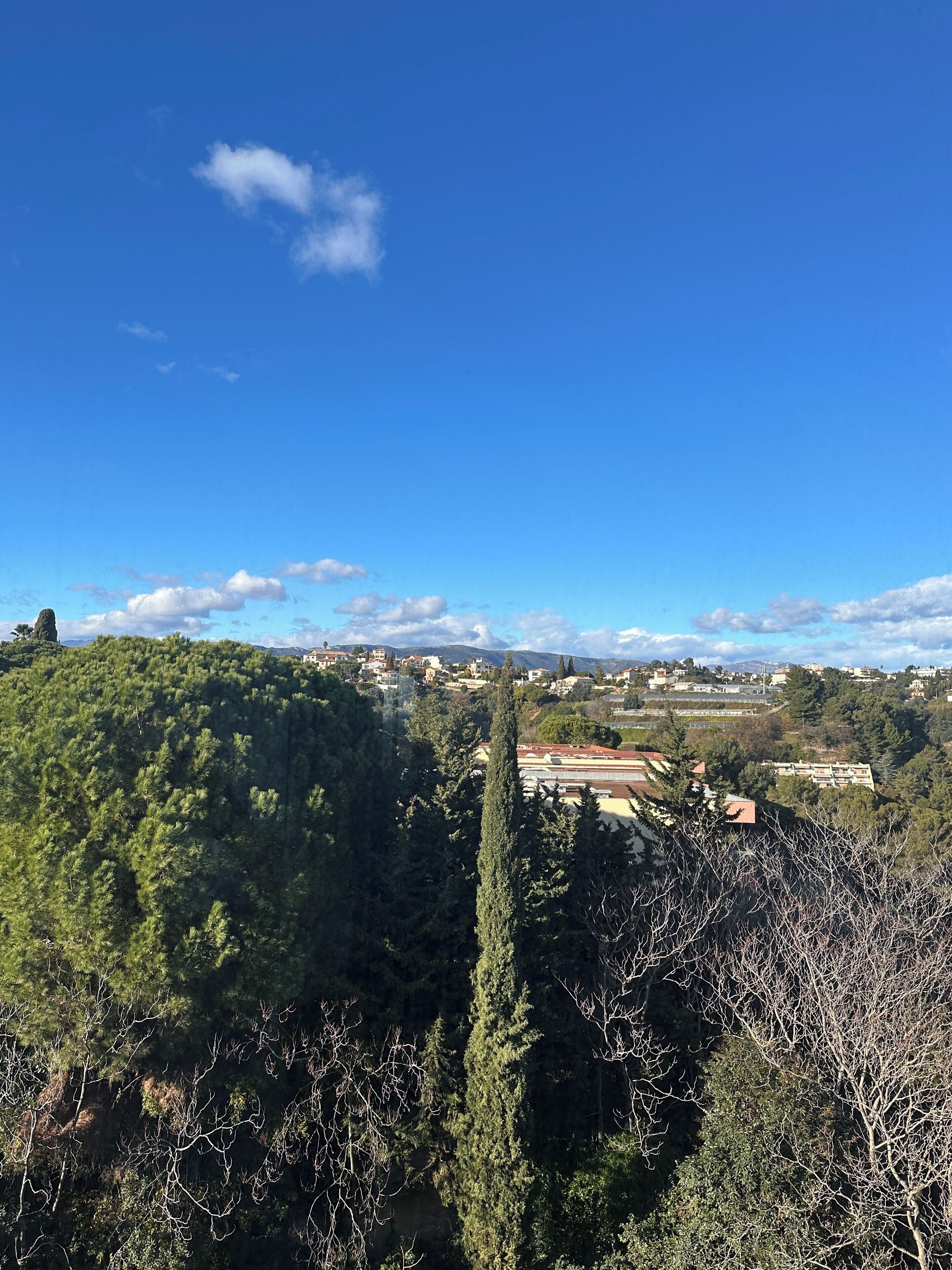 Une vue panoramique d’un paysage vallonné, avec de vastes forêts et quelques bâtiments dispersés.