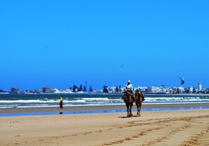 Sun-loungers, beach towels