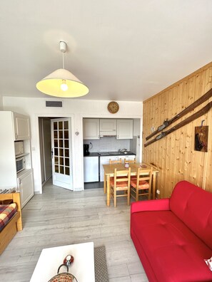 TV, DVD player - SNOW FRONT 20 M OF "DIABLE" LIFT, CLEANING INCLUDED, POSSIBLE TO RENT 2 APARTS (Les Deux-Alpes)