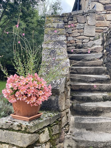 Escalier Capucine