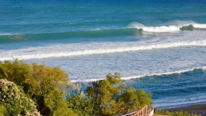 A coastal view with waves, greenery, and a distant boat.